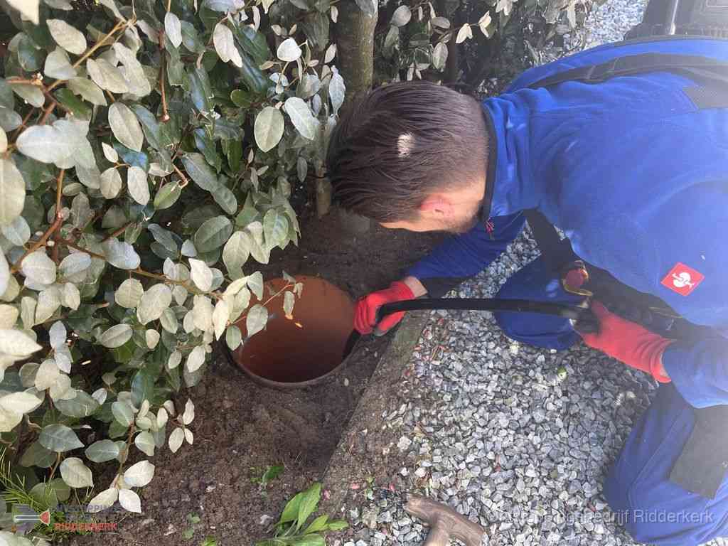 Rioolvliegjes Ridderkerk Rioolvliegjes Ridderkerk
